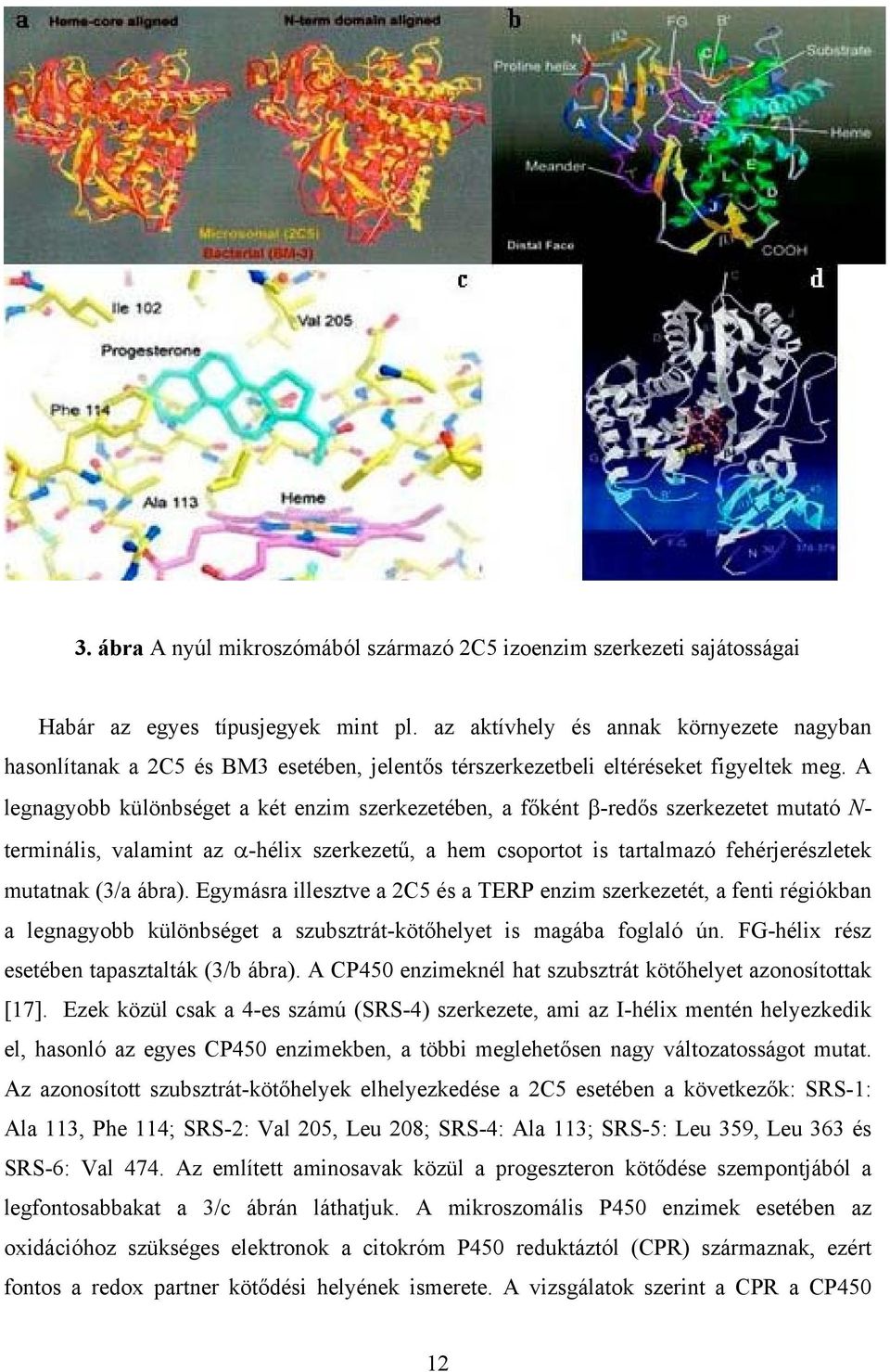 A legnagyobb különbséget a két enzim szerkezetében, a főként β-redős szerkezetet mutató - terminális, valamint az α-hélix szerkezetű, a hem csoportot is tartalmazó fehérjerészletek mutatnak (3/a
