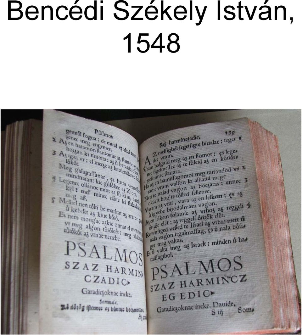 István,