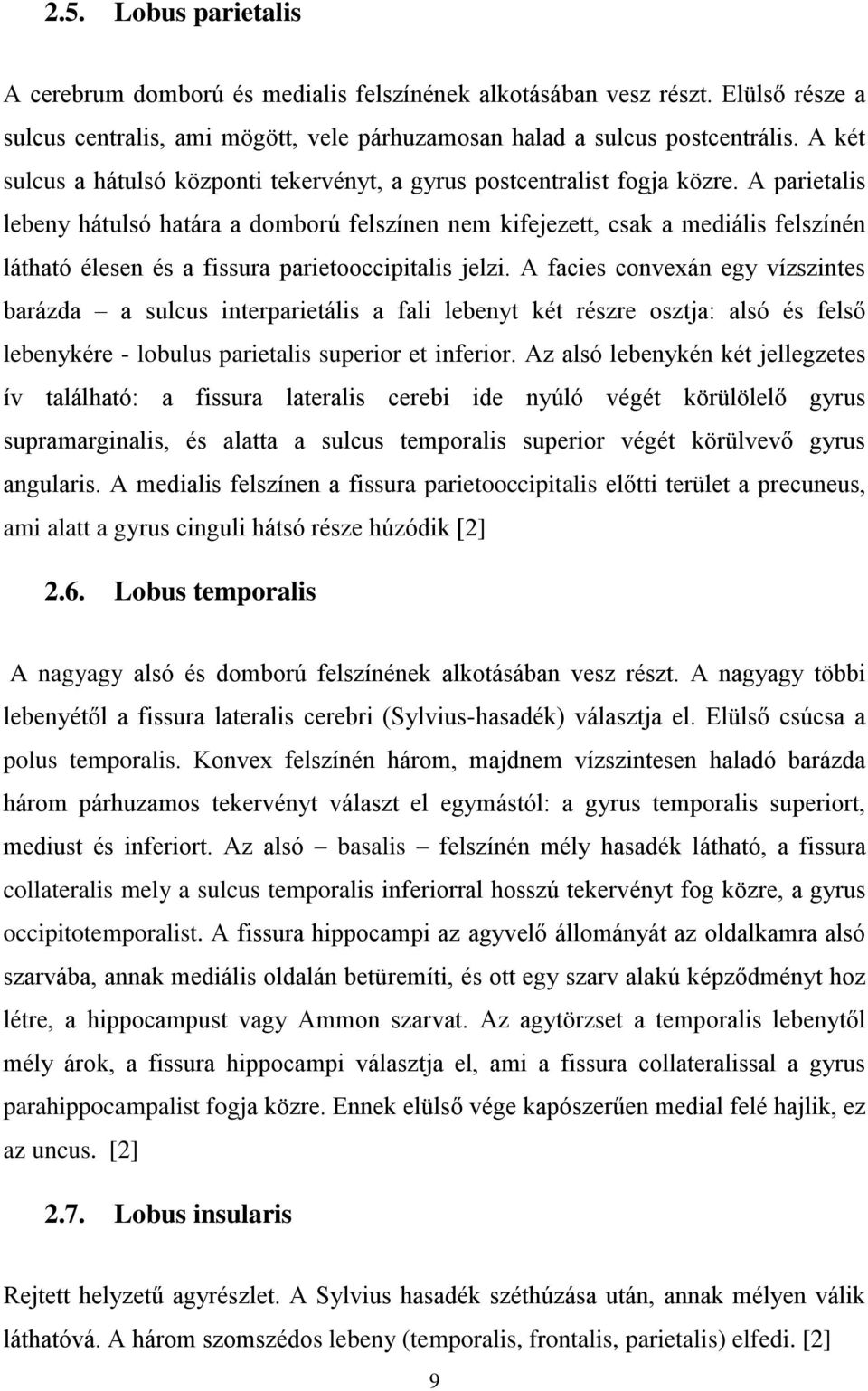 A parietalis lebeny hátulsó határa a domború felszínen nem kifejezett, csak a mediális felszínén látható élesen és a fissura parietooccipitalis jelzi.