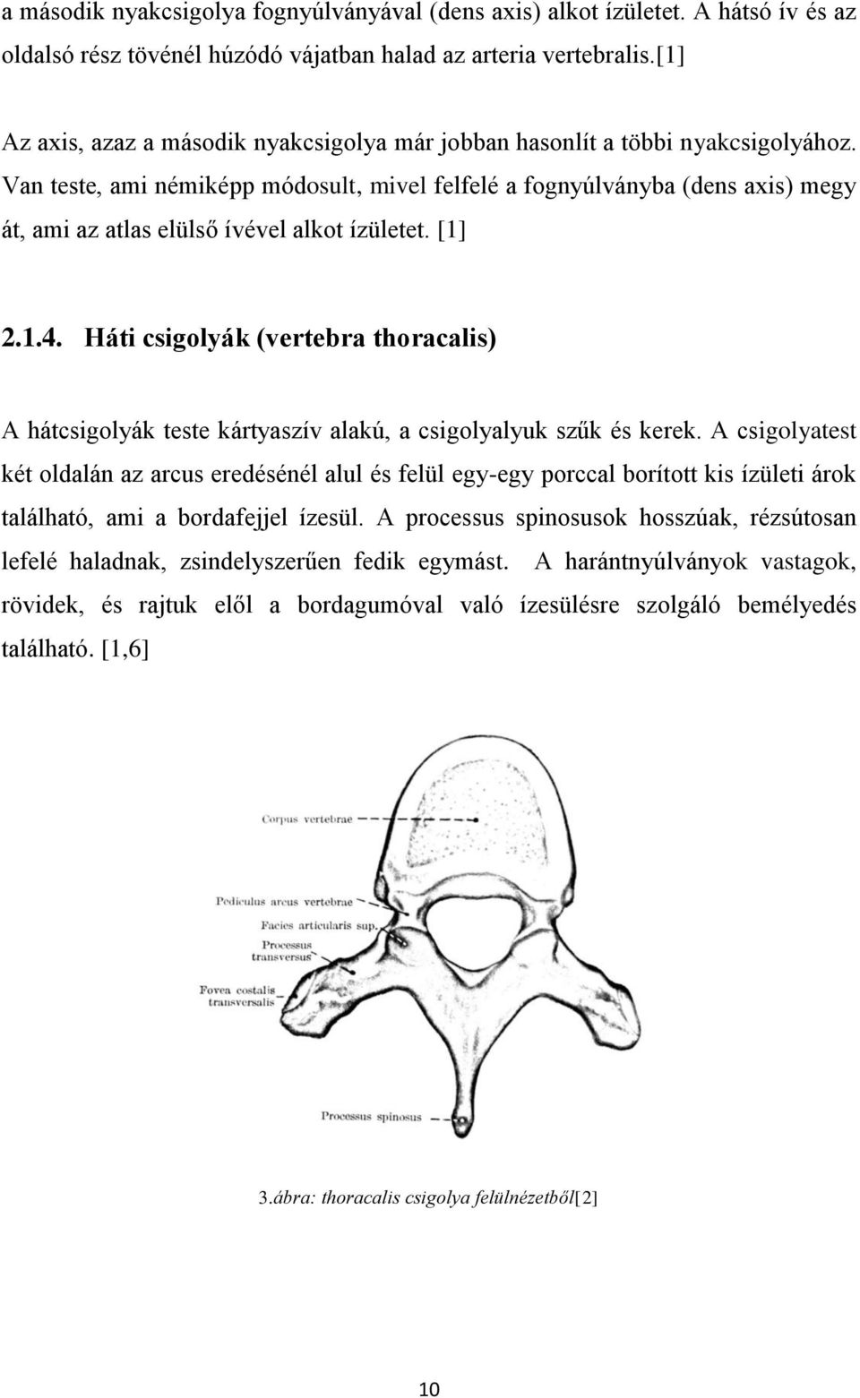 Van teste, ami némiképp módosult, mivel felfelé a fognyúlványba (dens axis) megy át, ami az atlas elülső ívével alkot ízületet. [1] 2.1.4.