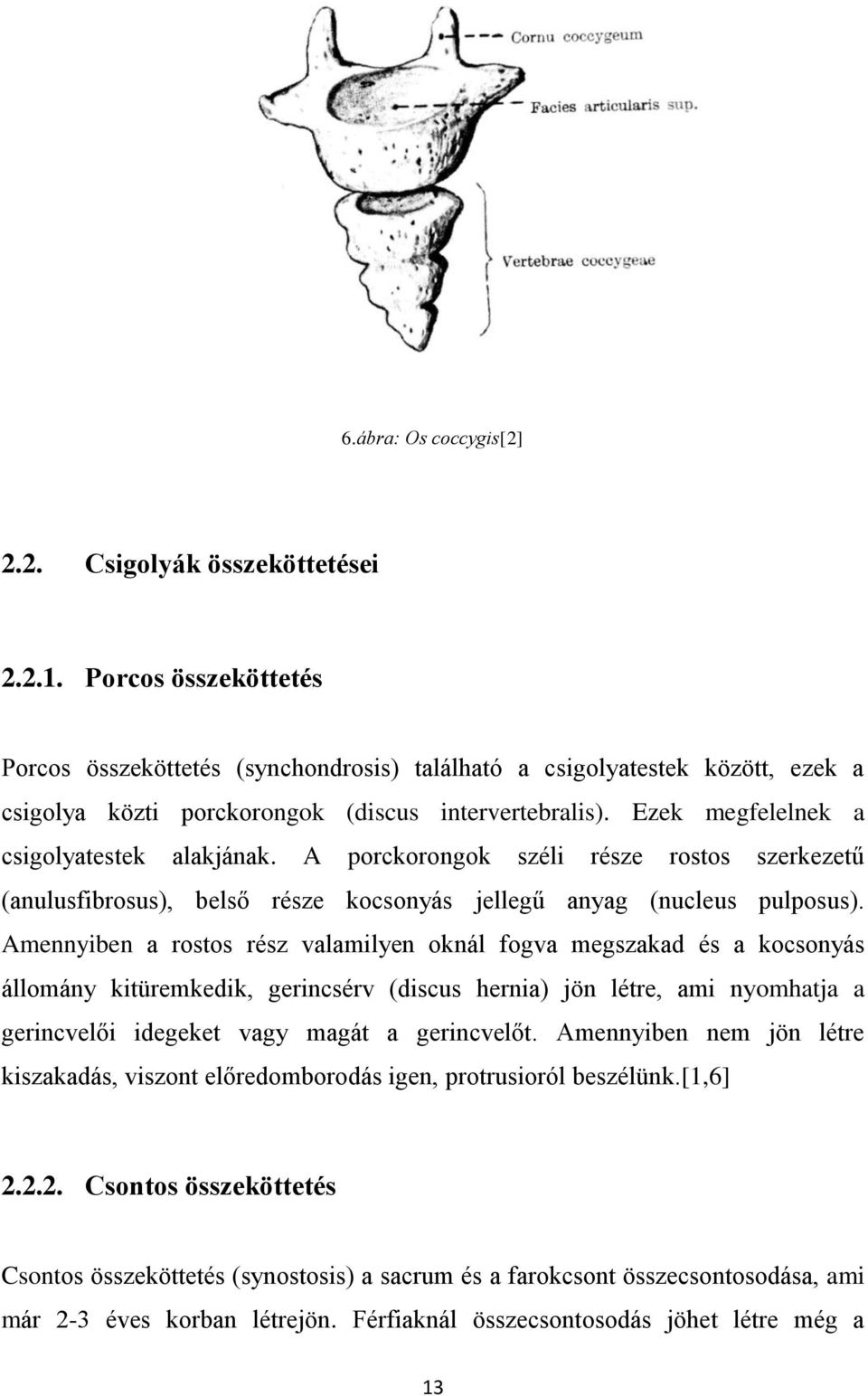 A porckorongok széli része rostos szerkezetű (anulusfibrosus), belső része kocsonyás jellegű anyag (nucleus pulposus).