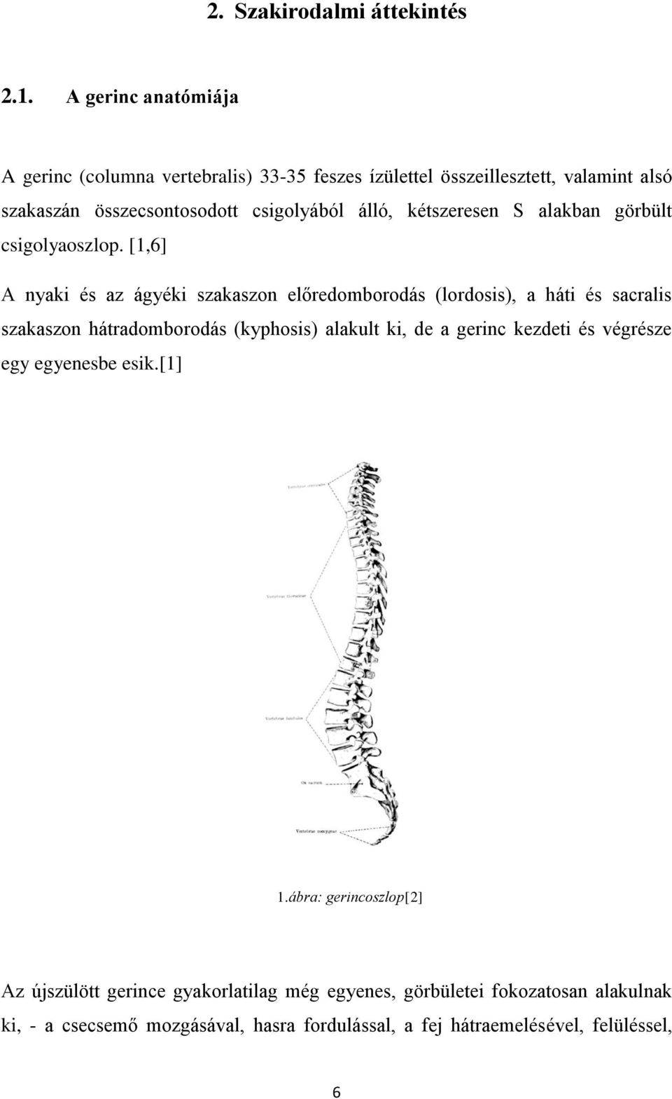 kétszeresen S alakban görbült csigolyaoszlop.