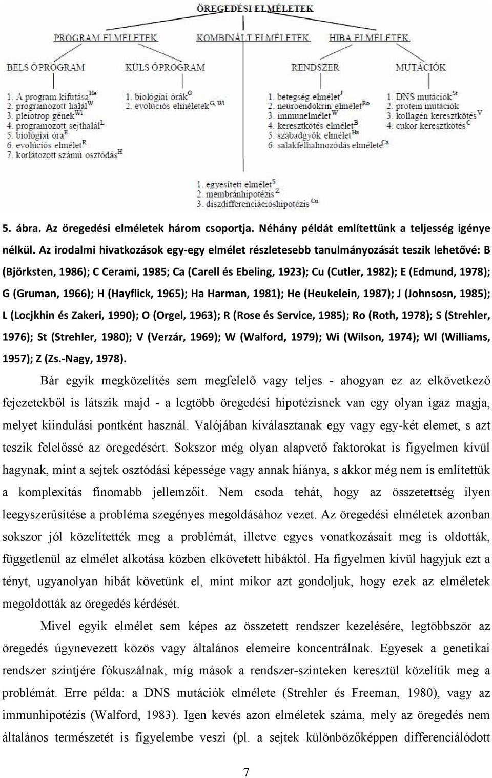 (Gruman, 1966); H (Hayflick, 1965); Ha Harman, 1981); He (Heukelein, 1987); J (Johnsosn, 1985); L (Locjkhin és Zakeri, 1990); O (Orgel, 1963); R (Rose és Service, 1985); Ro (Roth, 1978); S (Strehler,