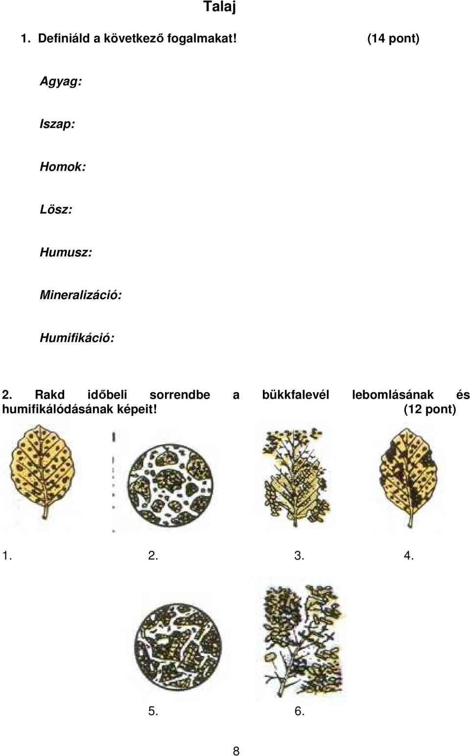 Mineralizáció: Humifikáció: 2.