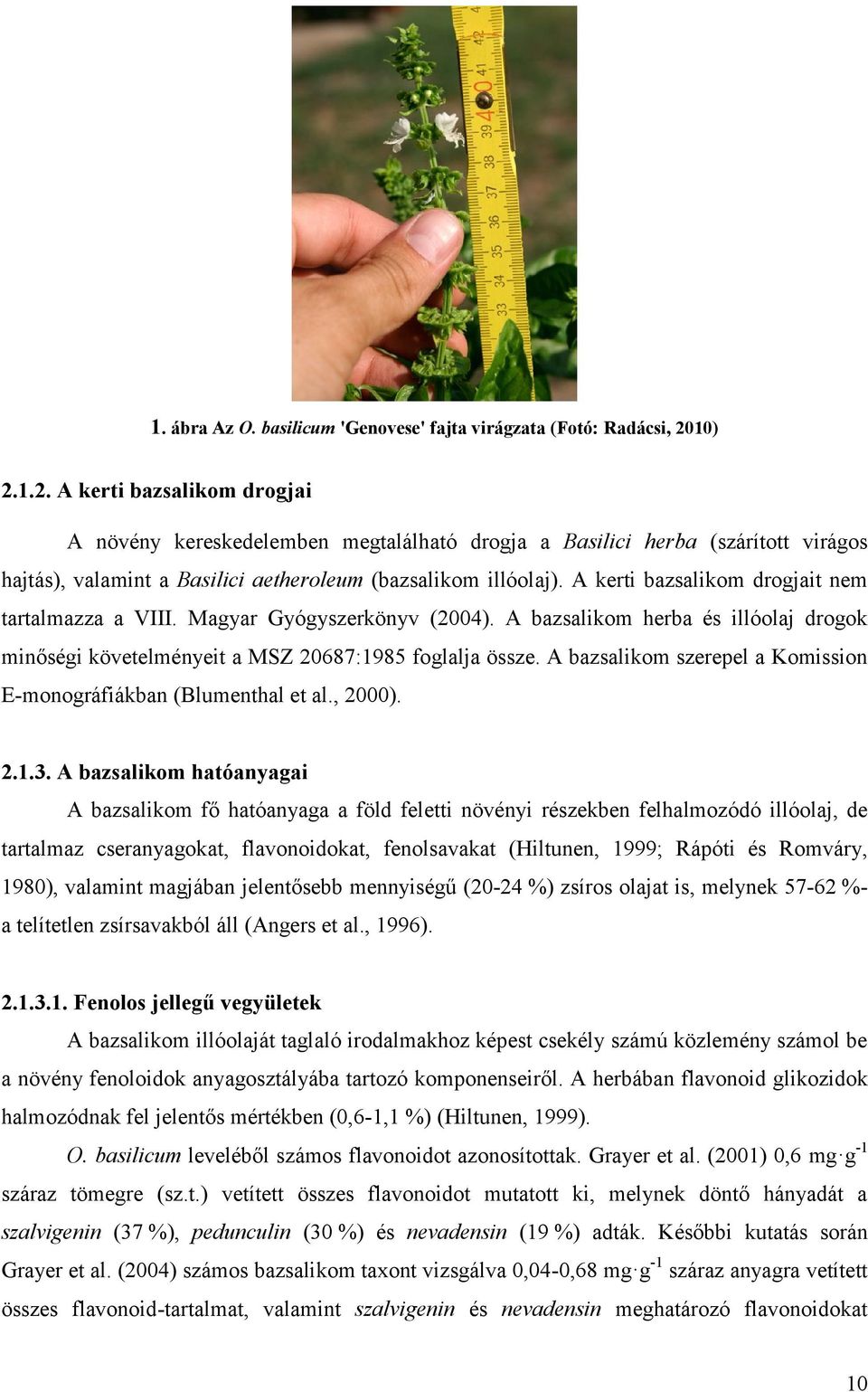 A kerti bazsalikom drogjait nem tartalmazza a VIII. Magyar Gyógyszerkönyv (2004). A bazsalikom herba és illóolaj drogok minőségi követelményeit a MSZ 20687:1985 foglalja össze.