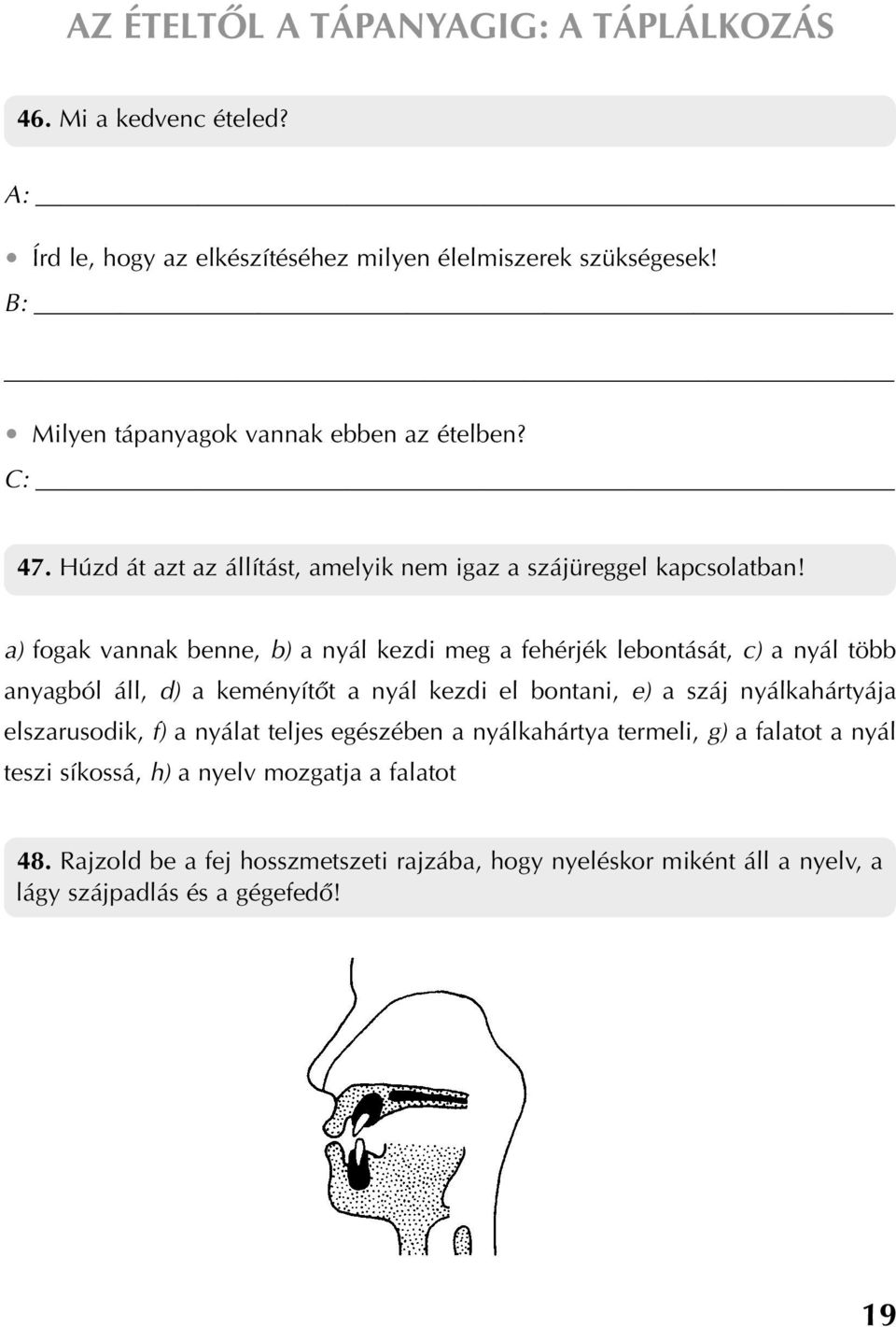 a) fogak vannak benne, b) a nyál kezdi meg a fehérjék lebontását, c) a nyál több anyagból áll, d) a keményítôt a nyál kezdi el bontani, e) a száj nyálkahártyája