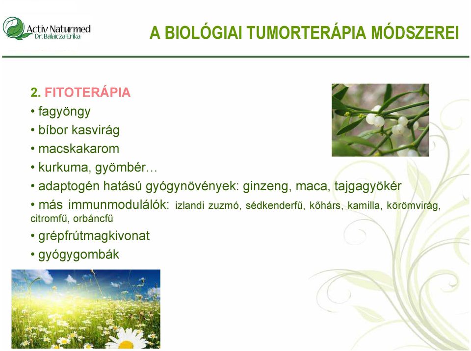 adaptogén hatású gyógynövények: ginzeng, maca, tajgagyökér más