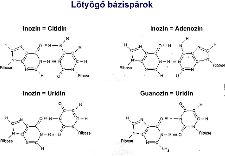 Inozin = Adenozin