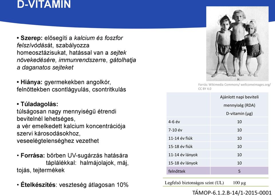 veseelégtelenséghez vezethet Forrása: bőrben UV-sugárzás hatására táplálékkal: halmájolajok, máj, tojás, tejtermékek Ételkészítés: veszteség átlagosan 10% Forrás: Wikimedia Commons/ wellcomeimages.