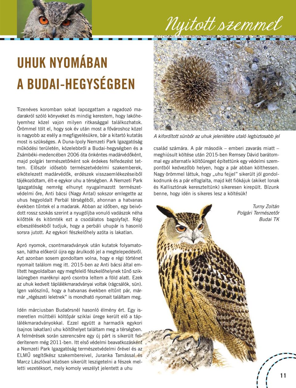 A Duna-Ipoly Nemzeti Park Igazgatóság működési területén, közelebbről a Budai-hegységben és a Zsámbéki-medencében 2006 óta önkéntes madárvédőként, majd polgári természetőrként sok érdekes felfedezést