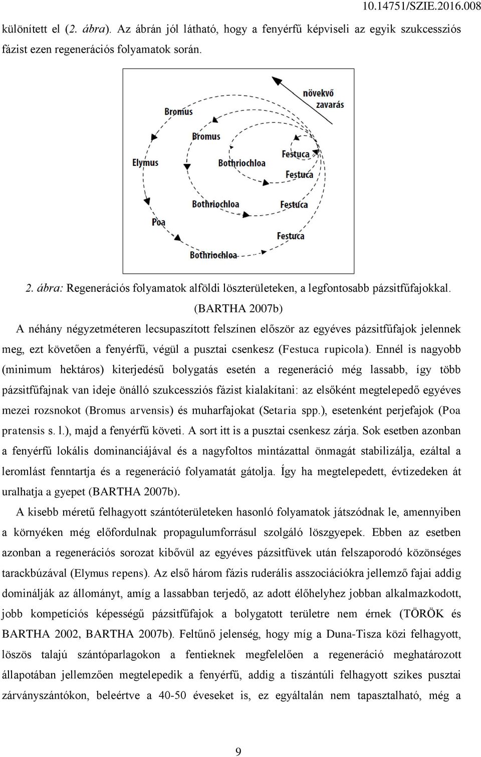 (BARTHA 2007b) A néhány négyzetméteren lecsupaszított felszínen először az egyéves pázsitfűfajok jelennek meg, ezt követően a fenyérfű, végül a pusztai csenkesz (Festuca rupicola).