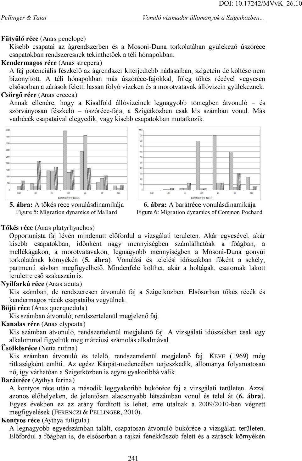 A téli hónapokban más úszóréce-fajokkal, főleg tőkés récével vegyesen elsősorban a zárások feletti lassan folyó vizeken és a morotvatavak állóvizein gyülekeznek.