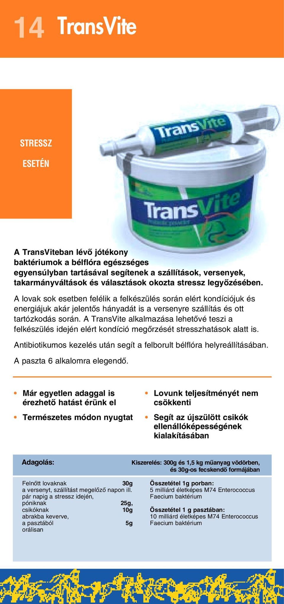 A TransVite alkalmazása lehetôvé teszi a felkészülés idején elért kondíció megôrzését stresszhatások alatt is. Antibiotikumos kezelés után segít a felborult bélflóra helyreállításában.