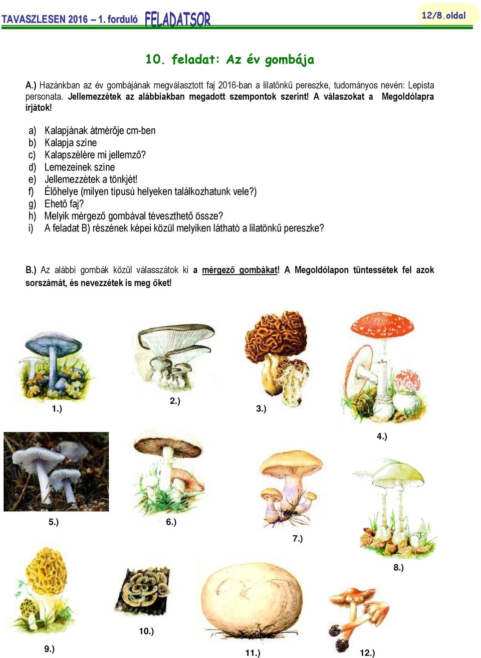 d) Lemezeinek színe e) Jellemezzétek a tönkjét! f) Élőhelye (milyen típusú helyeken találkozhatunk vele?) g) Ehető faj? h) Melyik mérgező gombával téveszthető össze?