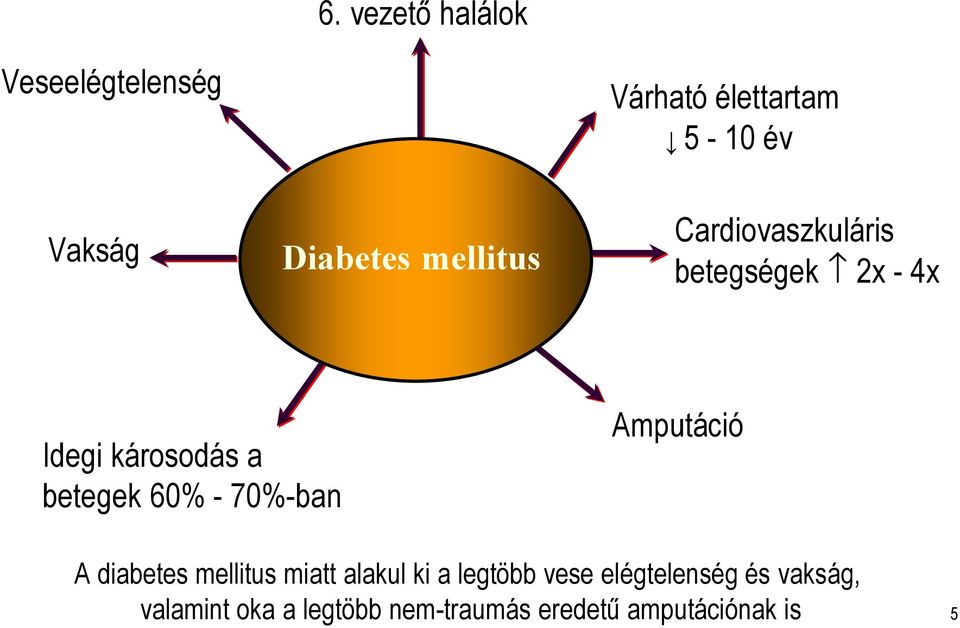 betegek 60% - 70%-ban Amputáció A diabetes mellitus miatt alakul ki a