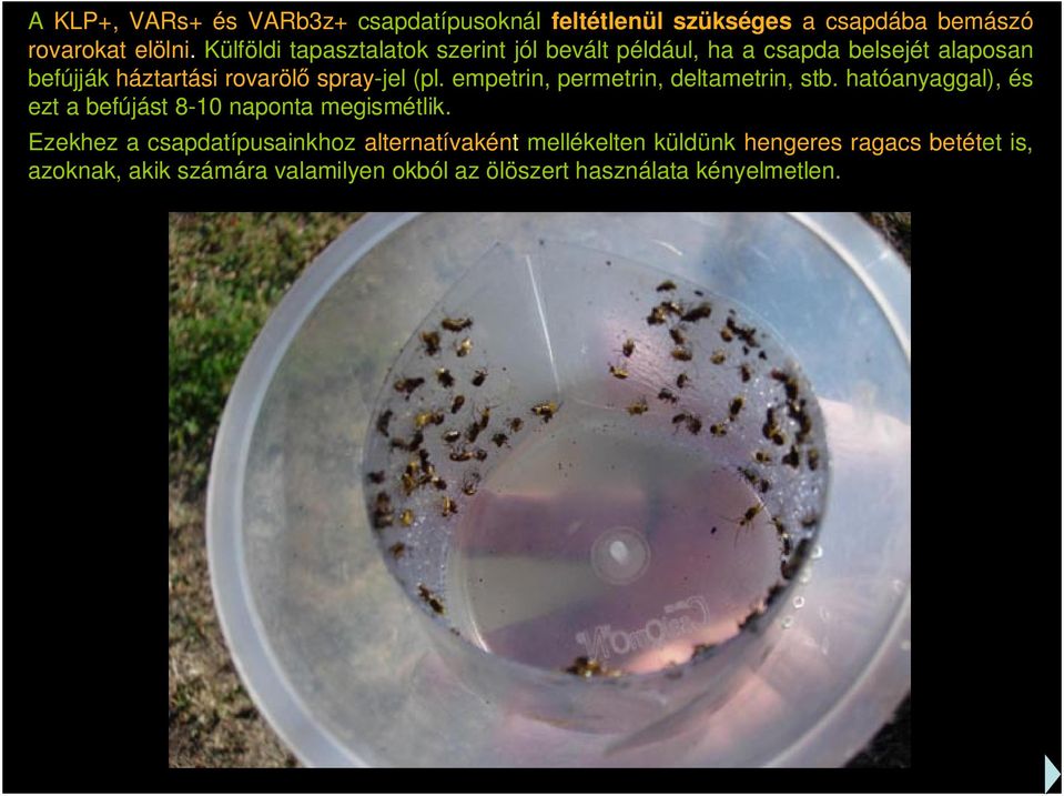 (pl. empetrin, permetrin, deltametrin, stb. hatóanyaggal), és ezt a befújást 8-10 naponta megismétlik.