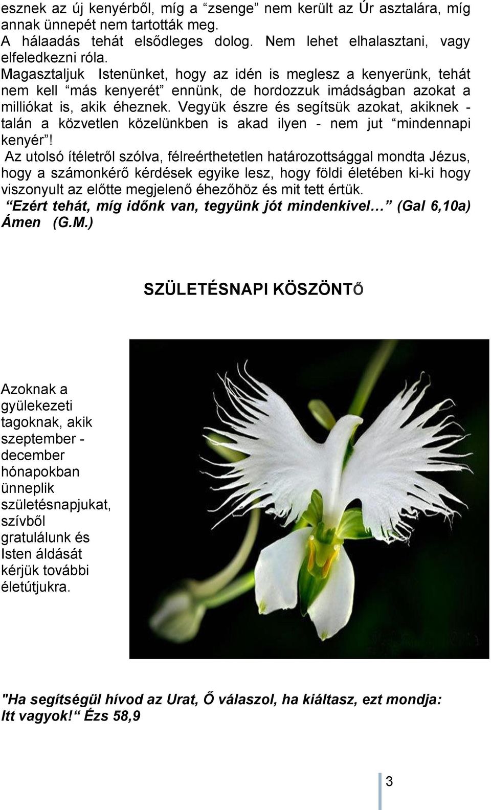 Vegyük észre és segítsük azokat, akiknek - talán a közvetlen közelünkben is akad ilyen - nem jut mindennapi kenyér!