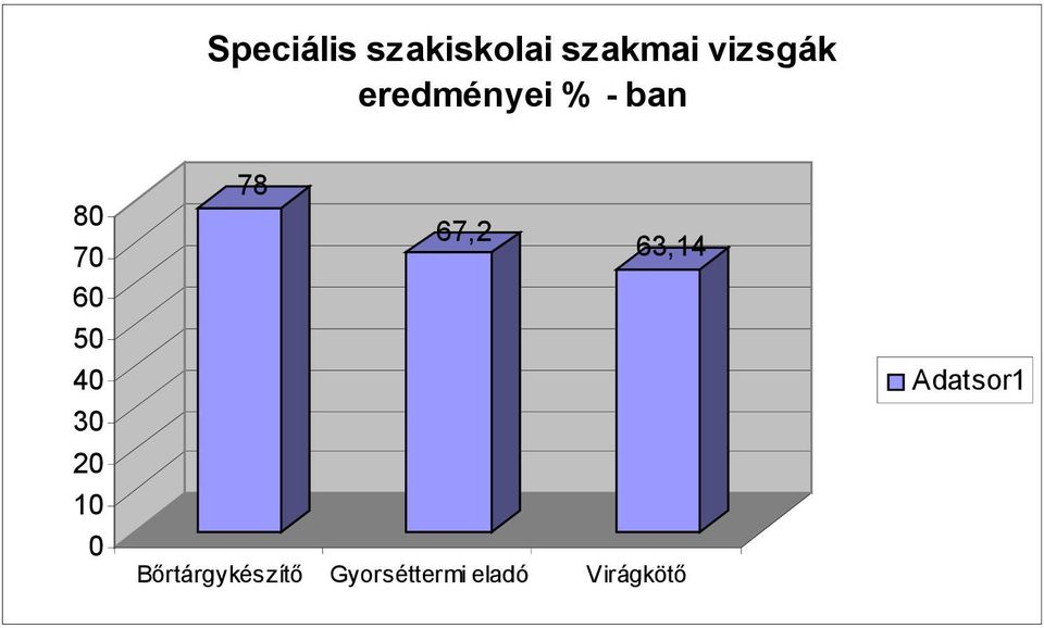 20 10 0 78 67,2 63,14 Bőrtárgykészítő