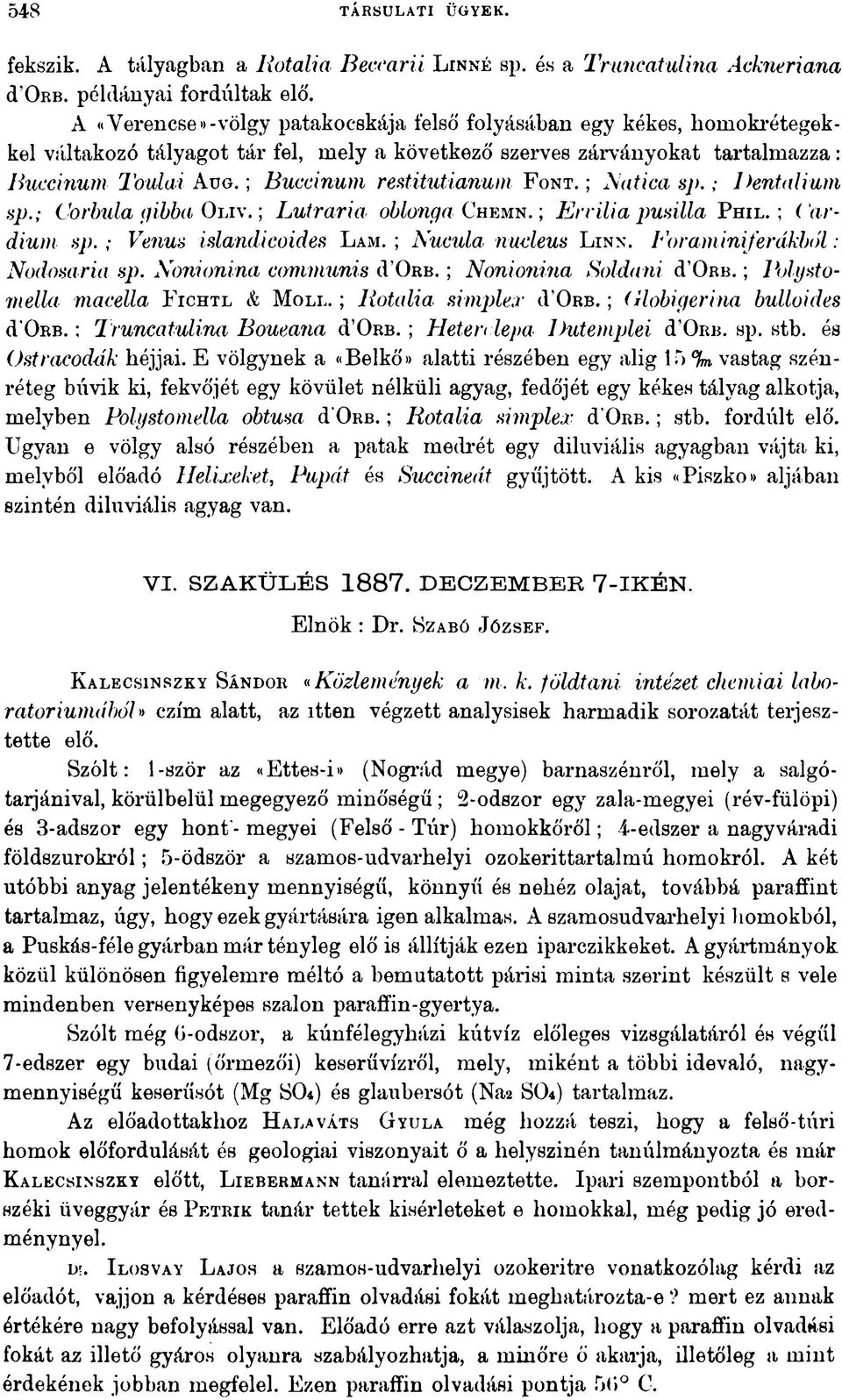 ; Buccinum restitutianum F ont. ; katica sp.; Dentalium sp.; Corbula gibba O liv. ; Lutraria oblong a Ch em n. ; Errilia pusilla P h il. ; (ardium sp.; Venus islandicoides Lám. ; Nucula nucleus Linn.