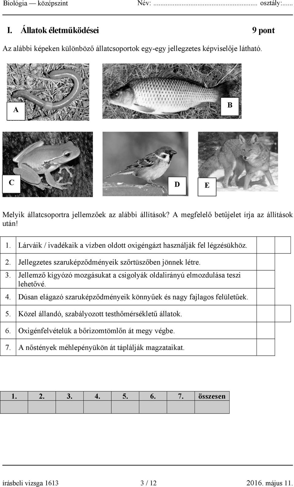 Jellemző kígyózó mozgásukat a csigolyák oldalirányú elmozdulása teszi lehetővé. 4. Dúsan elágazó szaruképződményeik könnyűek és nagy fajlagos felületűek. 5.