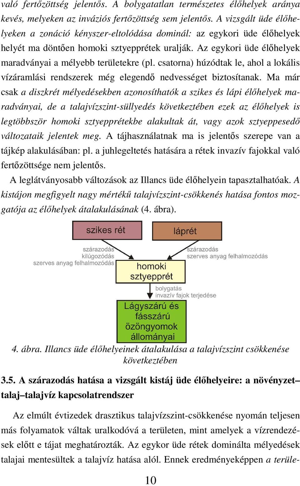 Az egykori üde élıhelyek maradványai a mélyebb területekre (pl. csatorna) húzódtak le, ahol a lokális vízáramlási rendszerek még elegendı nedvességet biztosítanak.