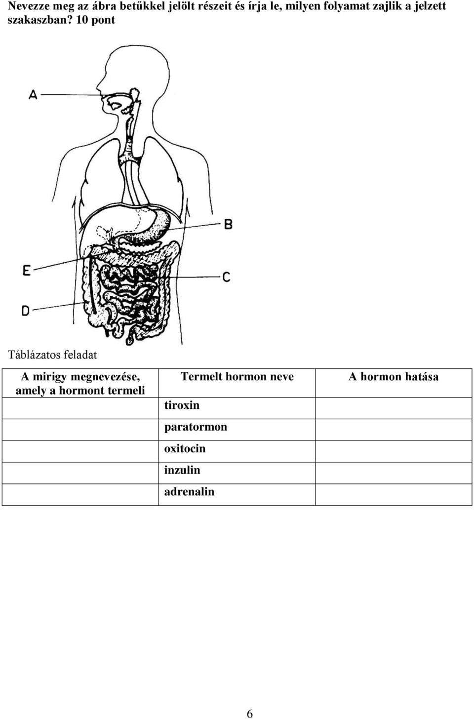 10 pont Táblázatos feladat A mirigy megnevezése, amely a hormont