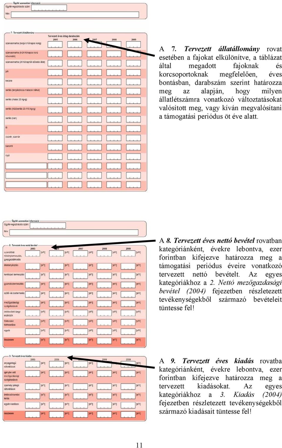 Tervezett éves nettó bevétel rovatban kategóriánként, évekre lebontva, ezer forintban kifejezve tározza meg a támogatási periódus éveire vonatkozó tervezett nettó bevételt. Az egyes kategóriákhoz a 2.