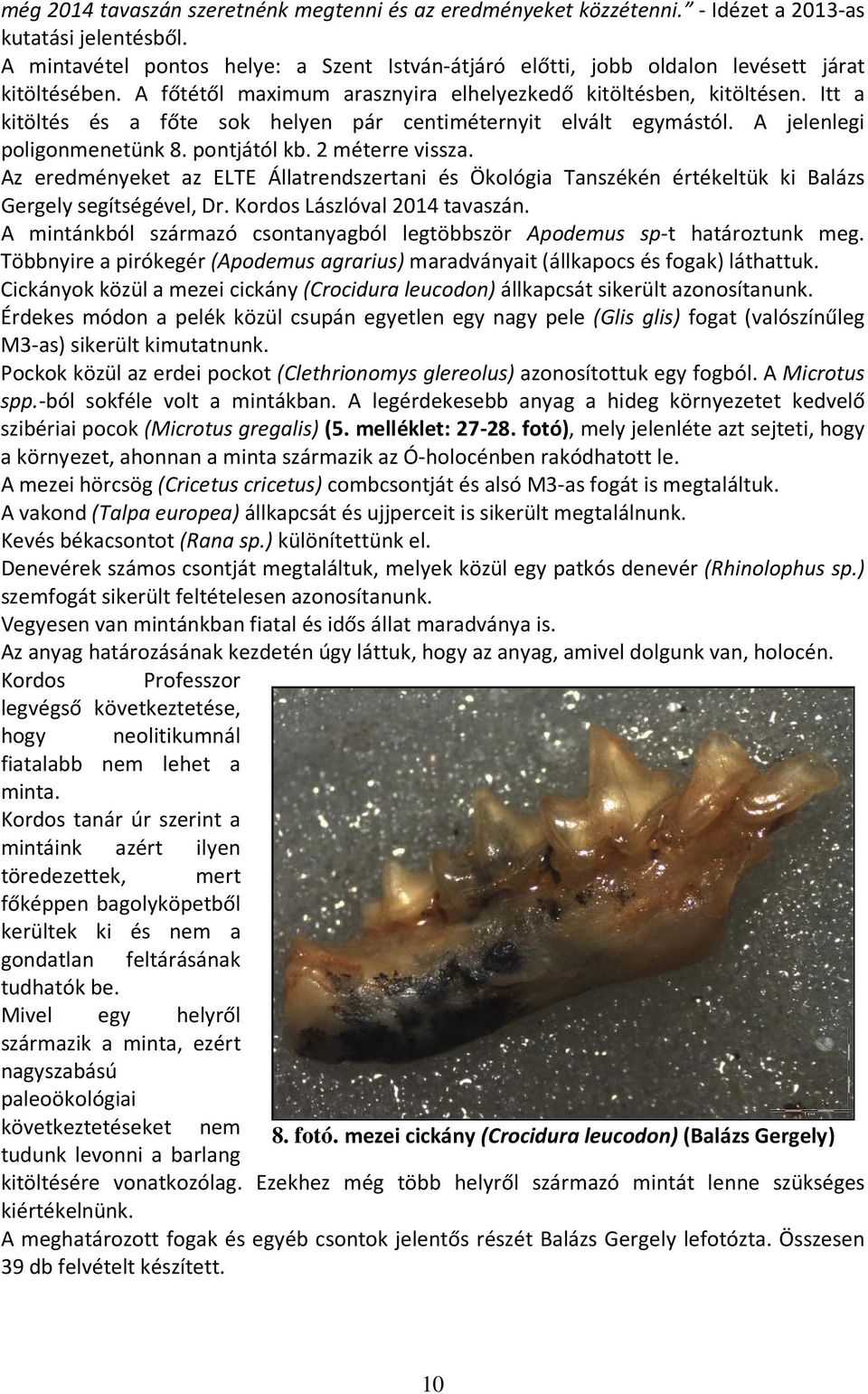 Itt a kitöltés és a főte sok helyen pár centiméternyit elvált egymástól. A jelenlegi poligonmenetünk 8. pontjától kb. 2 méterre vissza.