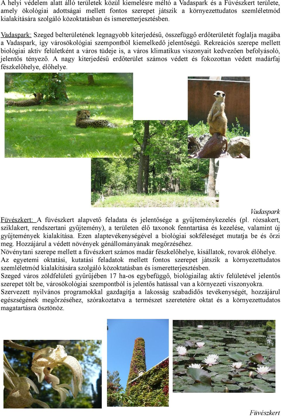 Vadaspark: Szeged belterületének legnagyobb kiterjedésű, összefüggő erdőterületét foglalja magába a Vadaspark, így városökológiai szempontból kiemelkedő jelentőségű.