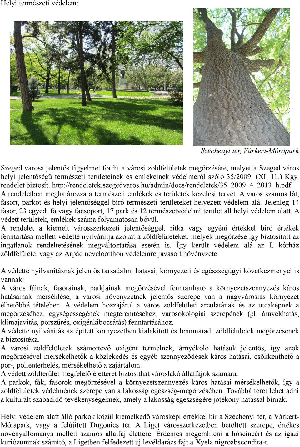 pdf A rendeletben meghatározza a természeti emlékek és területek kezelési tervét. A város számos fát, fasort, parkot és helyi jelentőséggel bíró természeti területeket helyezett védelem alá.