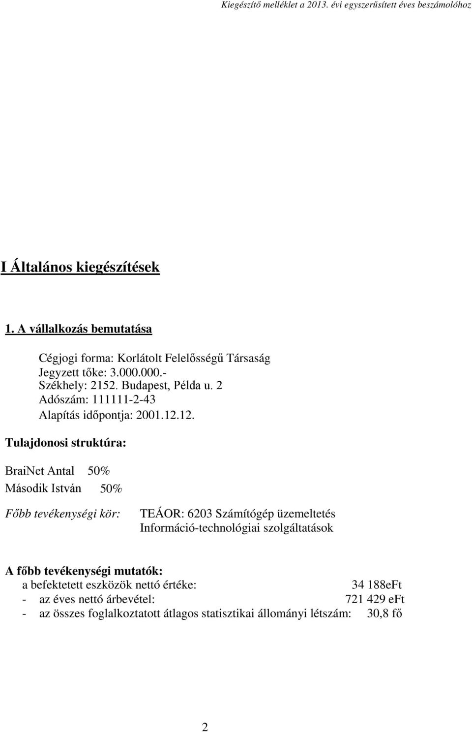 12. Tulajdonosi struktúra: BraiNet Antal 50% Második István 50% Főbb tevékenységi kör: TEÁOR: 6203 Számítógép üzemeltetés