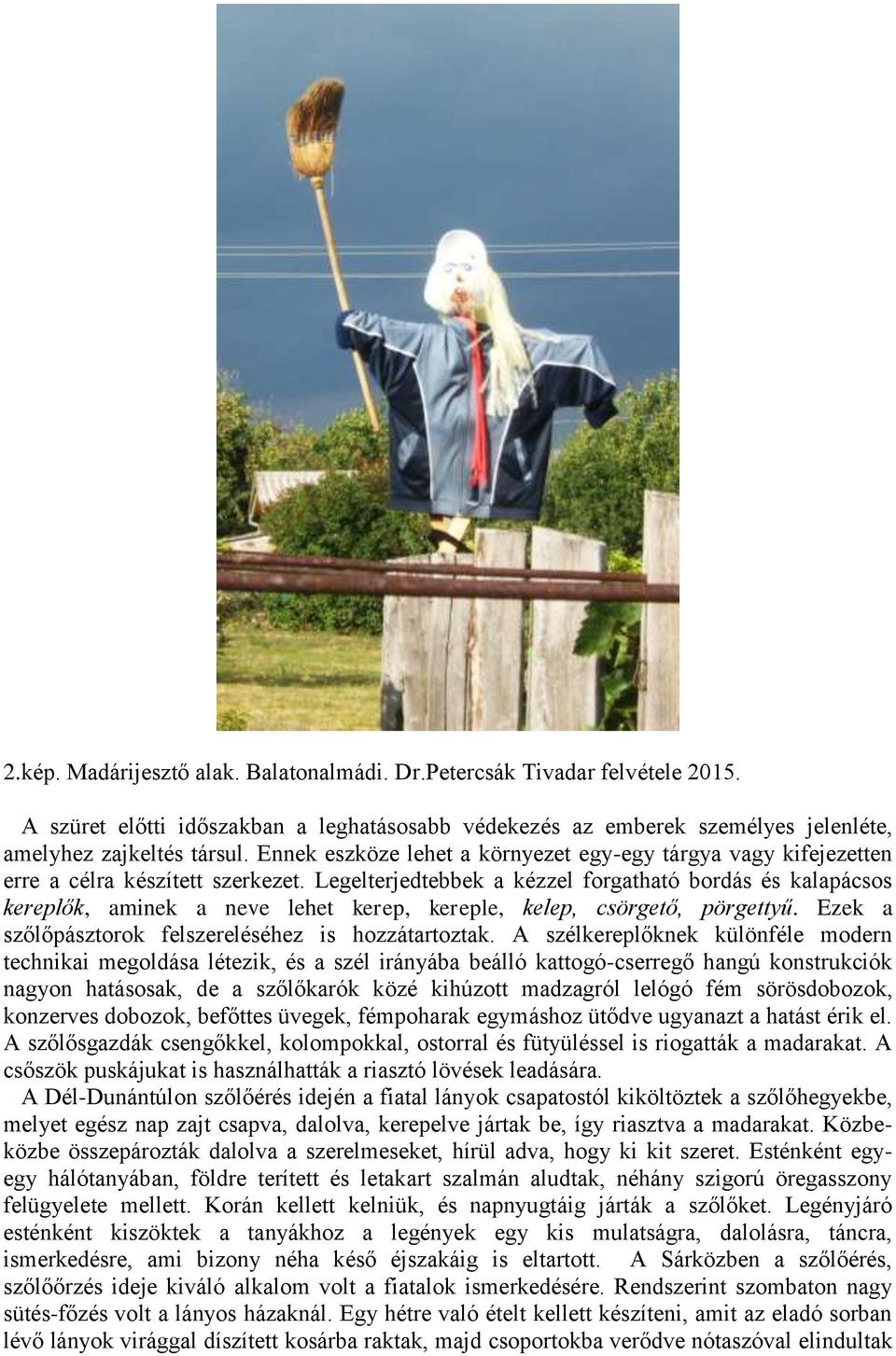 Legelterjedtebbek a kézzel forgatható bordás és kalapácsos kereplők, aminek a neve lehet kerep, kereple, kelep, csörgető, pörgettyű. Ezek a szőlőpásztorok felszereléséhez is hozzátartoztak.
