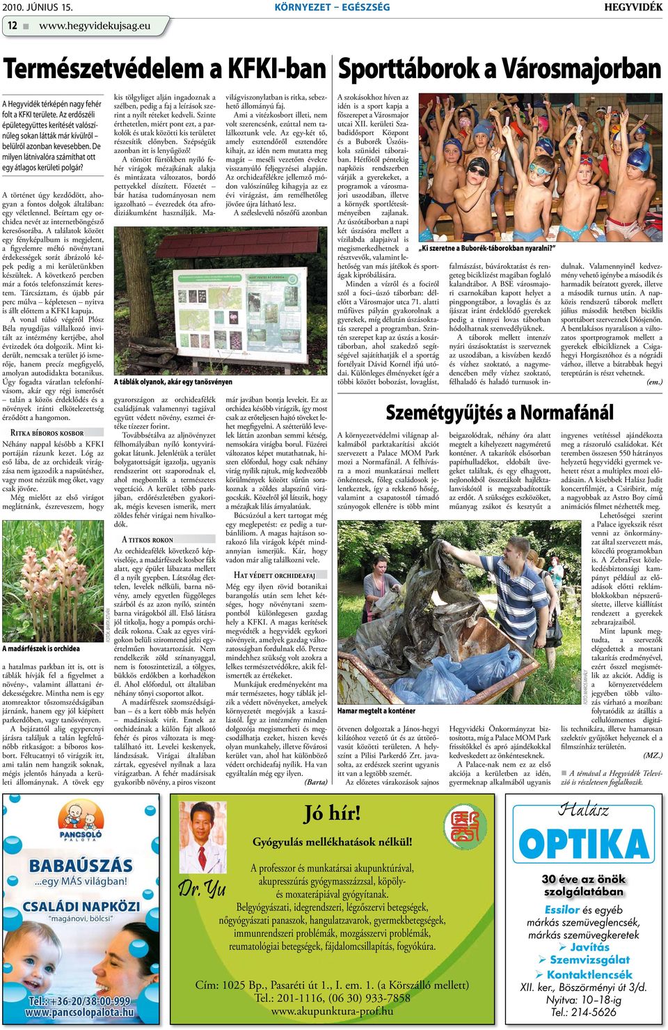 A történet úgy kezdődött, ahogyan a fontos dolgok általában: egy véletlennel. Beírtam egy orchidea nevét az internetböngésző keresősorába.