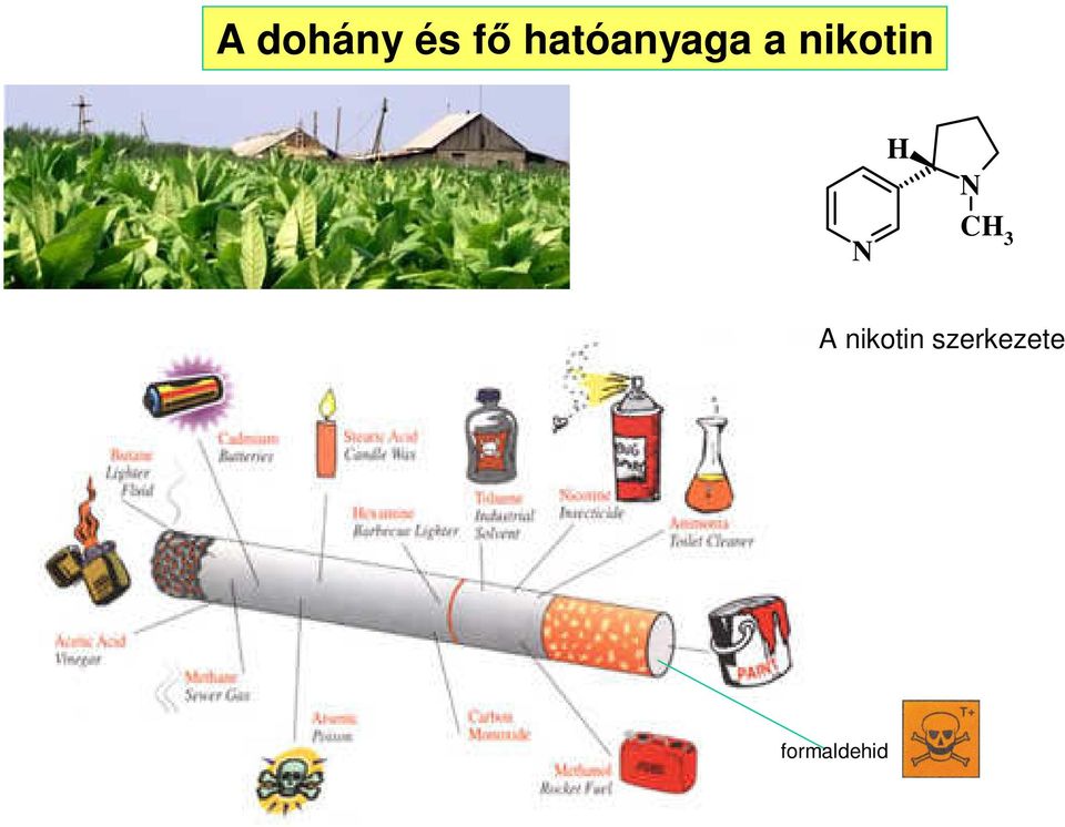 nikotin H N N CH 3