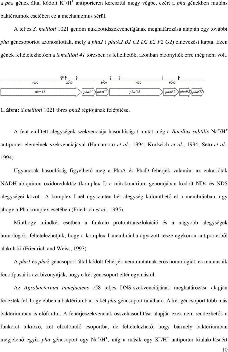 meliloti 41 törzsben is fellelhetık, azonban bizonyíték erre még nem volt. 1. ábra: S.meliloti 1021 törzs pha2 régiójának felépítése.