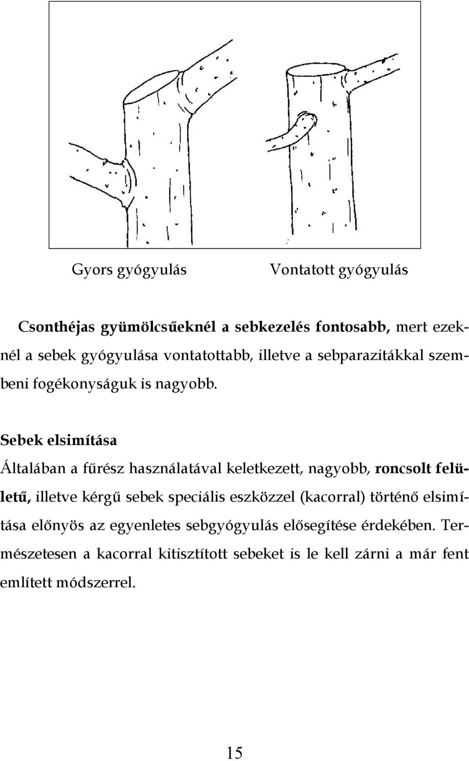 Sebek elsimítása Általában a fűrész használatával keletkezett, nagyobb, roncsolt felületű, illetve kérgű sebek speciális