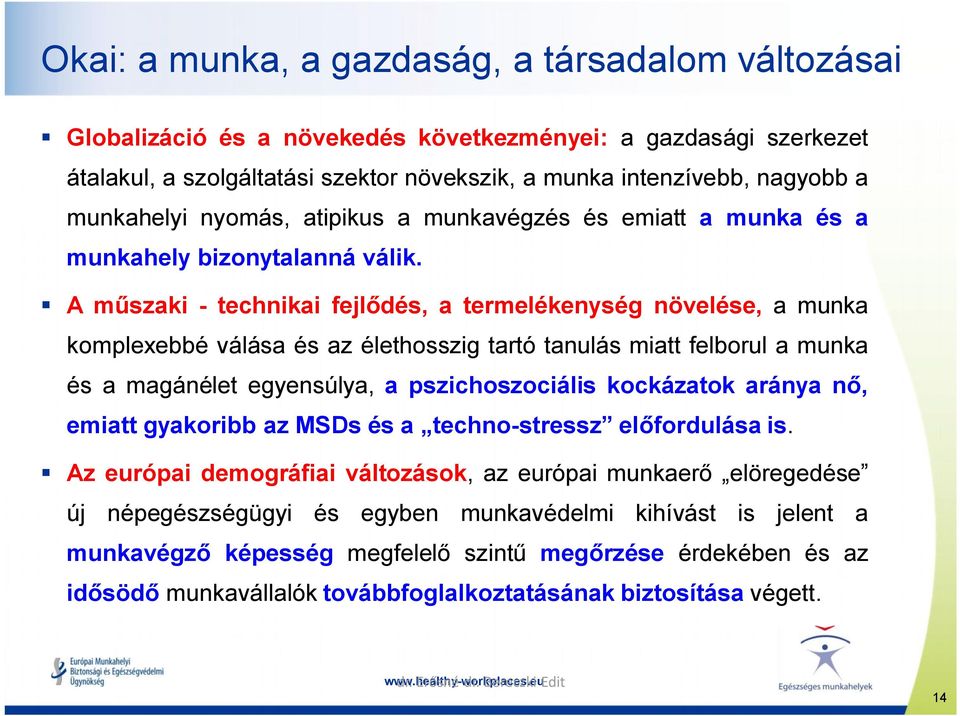 A műszaki - technikai fejlődés, a termelékenység növelése, a munka komplexebbé válása és az élethosszig tartó tanulás miatt felborul a munka és a magánélet egyensúlya, a pszichoszociális kockázatok