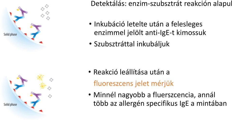 inkubáljuk Reakció leállítása után a fluoreszcens jelet mérjük