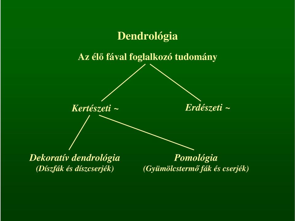 Dekoratív dendrológia (Díszfák és