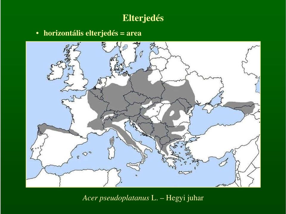 Elterjedés Acer