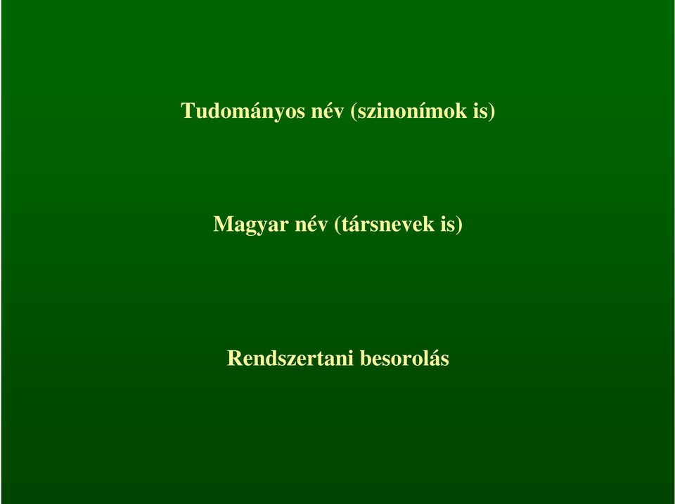 Magyar név