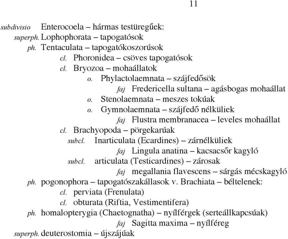 Brachyopoda pörgekarúak Inarticulata (Ecardines) zárnélküliek subdivisio 11 faj Lingula anatina kacsacsőr kagyló articulata (Testicardines) zárosak faj megallania flavescens sárgás mécskagyló ph.