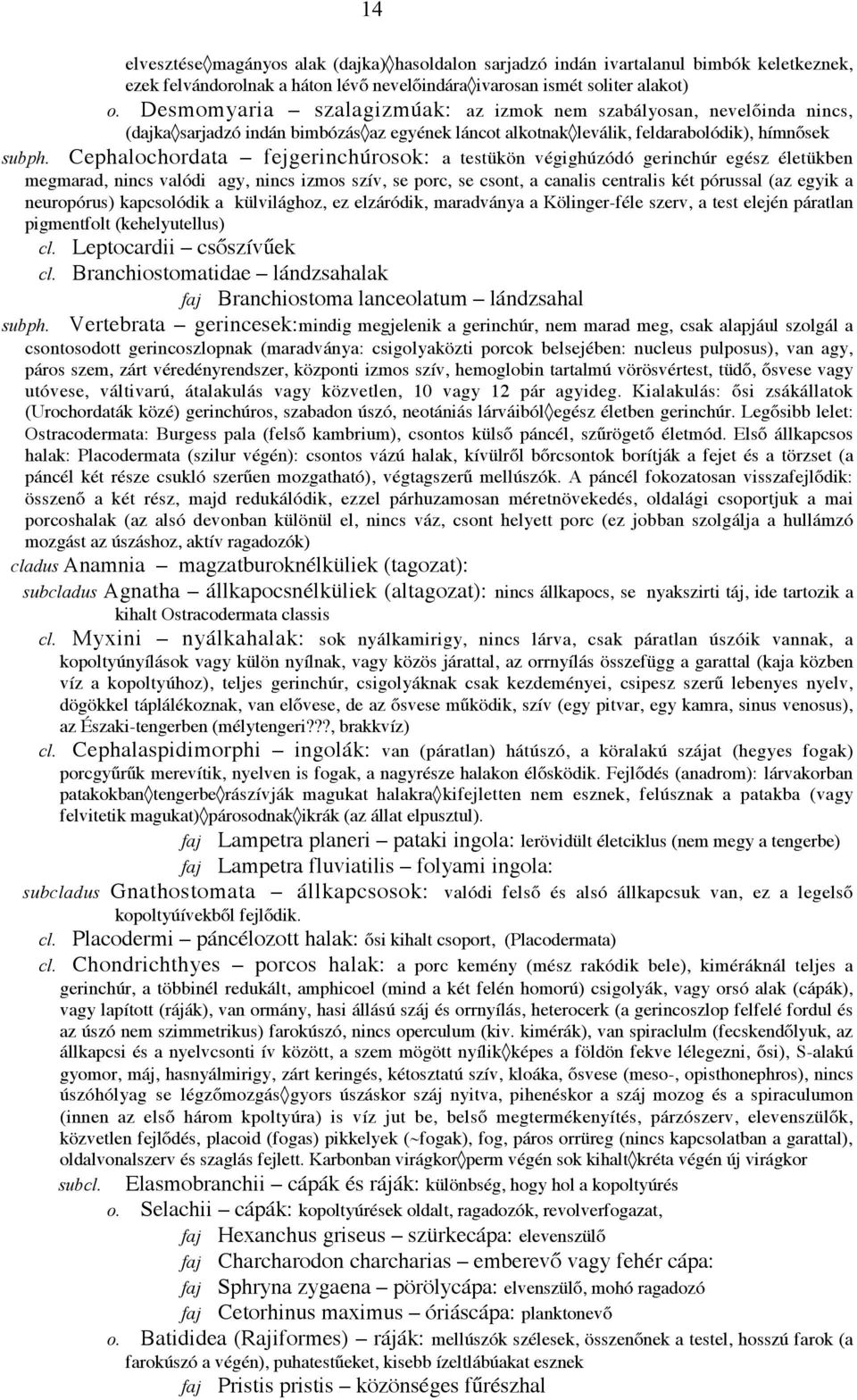 testükön végighúzódó gerinchúr egész életükben megmarad, nincs valódi agy, nincs izmos szív, se porc, se csont, a canalis centralis két pórussal (az egyik a neuropórus) kapcsolódik a külvilághoz, ez