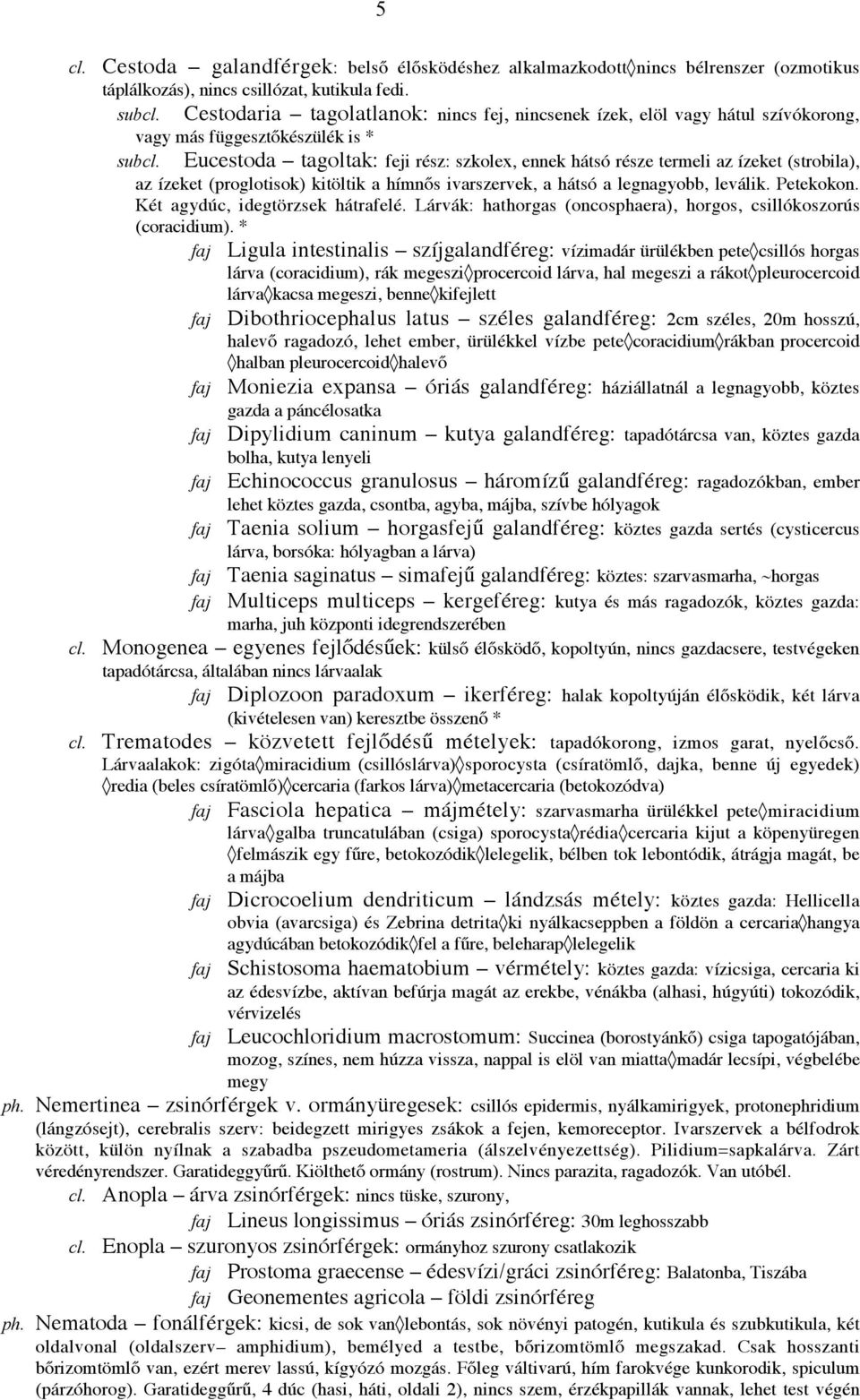 (strobila), az ízeket (proglotisok) kitöltik a hímnős ivarszervek, a hátsó a legnagyobb, leválik. Petekokon. Két agydúc, idegtörzsek hátrafelé.