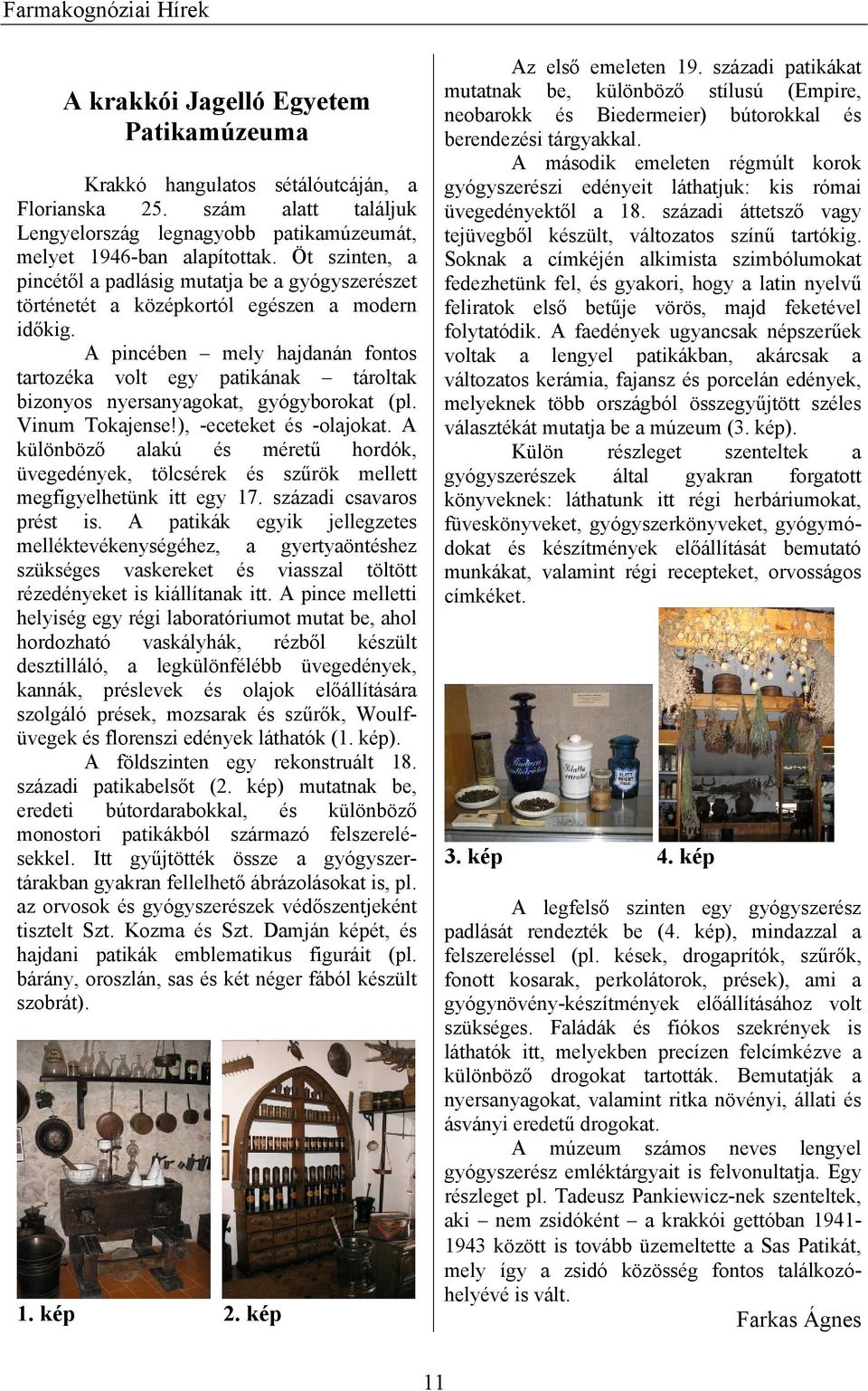 A pincében mely hajdanán fontos tartozéka volt egy patikának tároltak bizonyos nyersanyagokat, gyógyborokat (pl. Vinum Tokajense!), -eceteket és -olajokat.