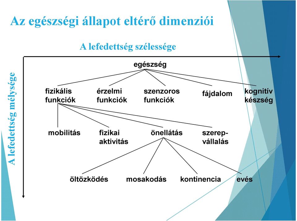 érzelmi funkciók fizikai aktivitás szenzoros funkciók önellátás