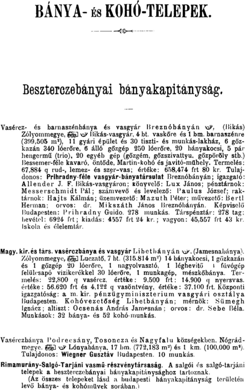 11 gyári épület és 30 tiszti- és munkás-lakház, 6 gőzkazán 340 lóerőre, 6 álló gőzgép 250 lóerőre, 20 bányakocsi, 5 pár hengermű (trio), 20 egyéb gép (gőzgém, gőzszivattyu, gőzpöröly stb.