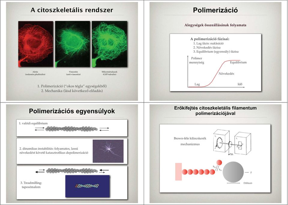 Polimerizáció ( okos tégla egységekből) 2.