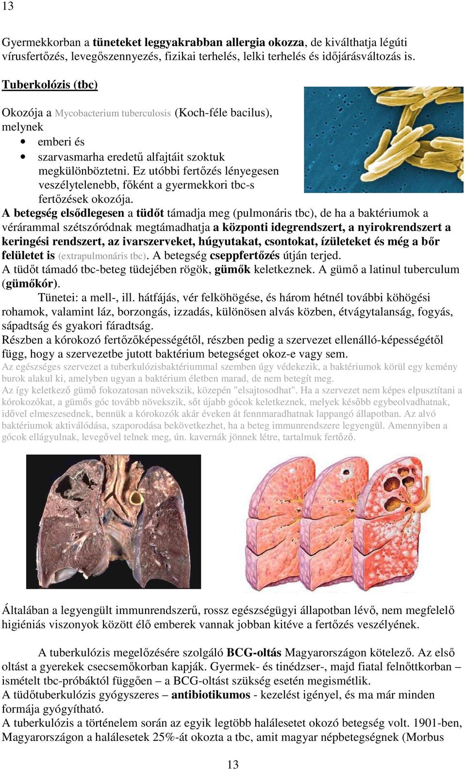 Ez utóbbi fertőzés lényegesen veszélytelenebb, főként a gyermekkori tbc-s fertőzések okozója.