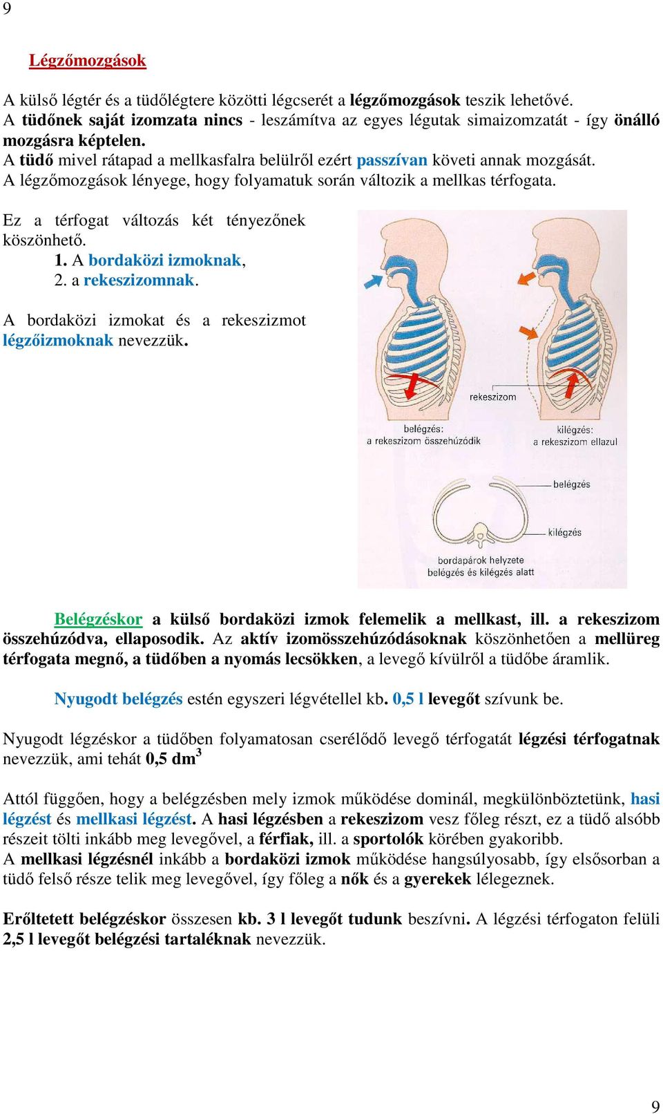 A légzőmozgások lényege, hogy folyamatuk során változik a mellkas térfogata. Ez a térfogat változás két tényezőnek köszönhető. 1. A bordaközi izmoknak, 2. a rekeszizomnak.